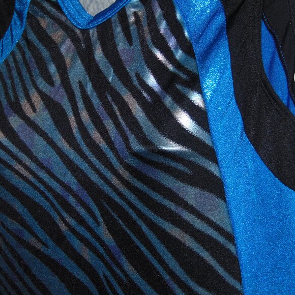 GK Zebra and Blue Leotard AS - Picture 2 of 7